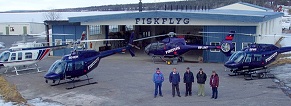 fiskflyg